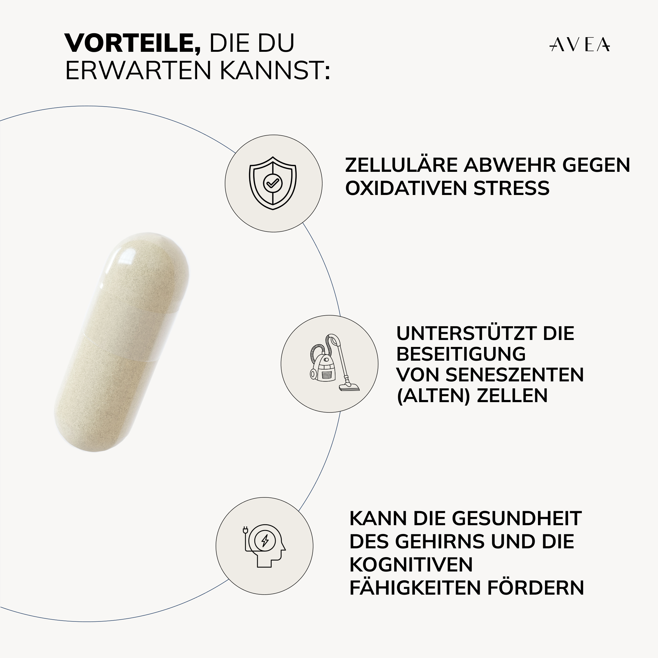 Cell Primer Erwartete Ergebnisse