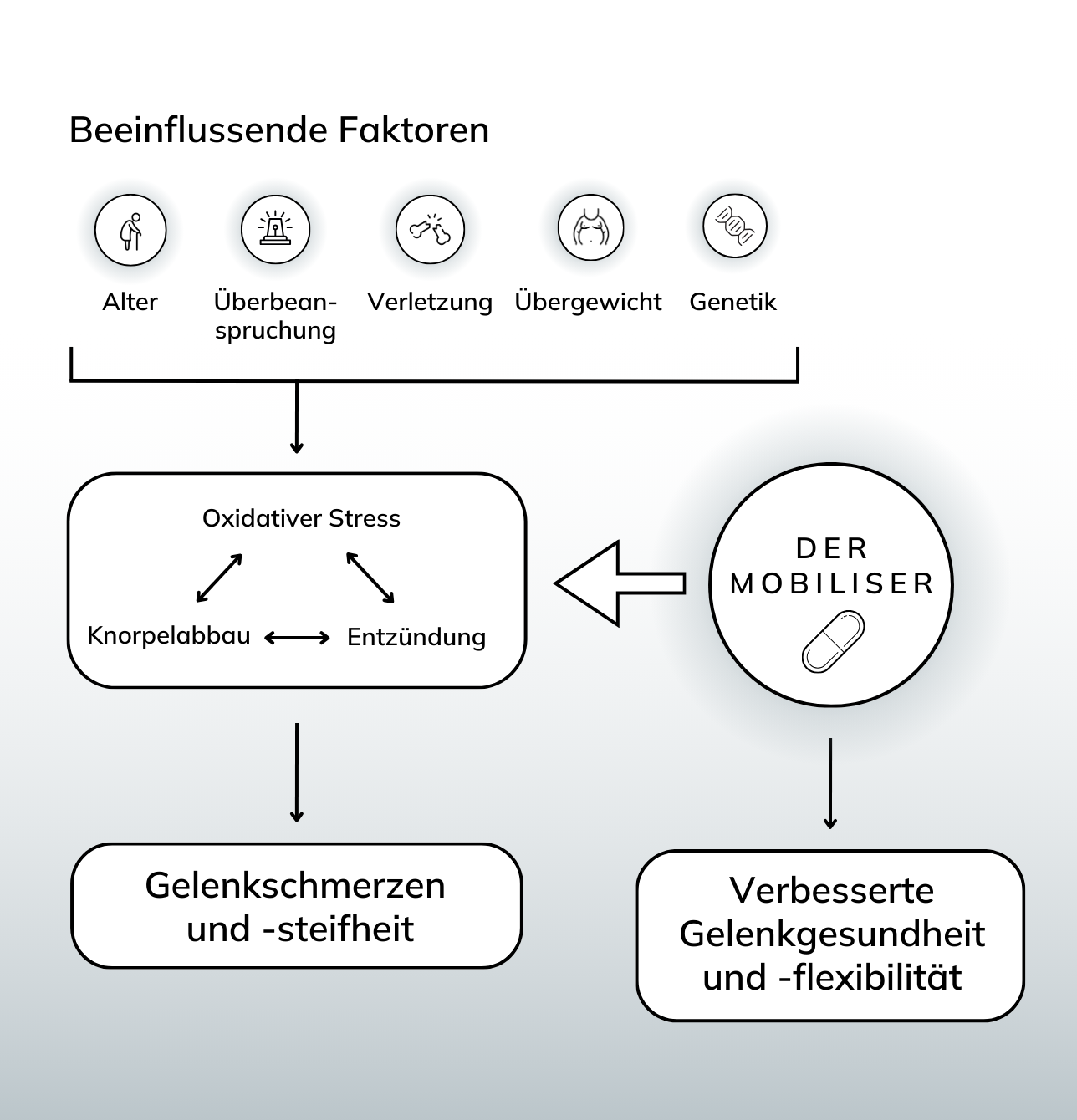 Final_DE.png