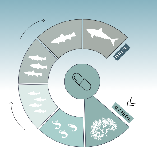 Fish_oil_blue_EN.png