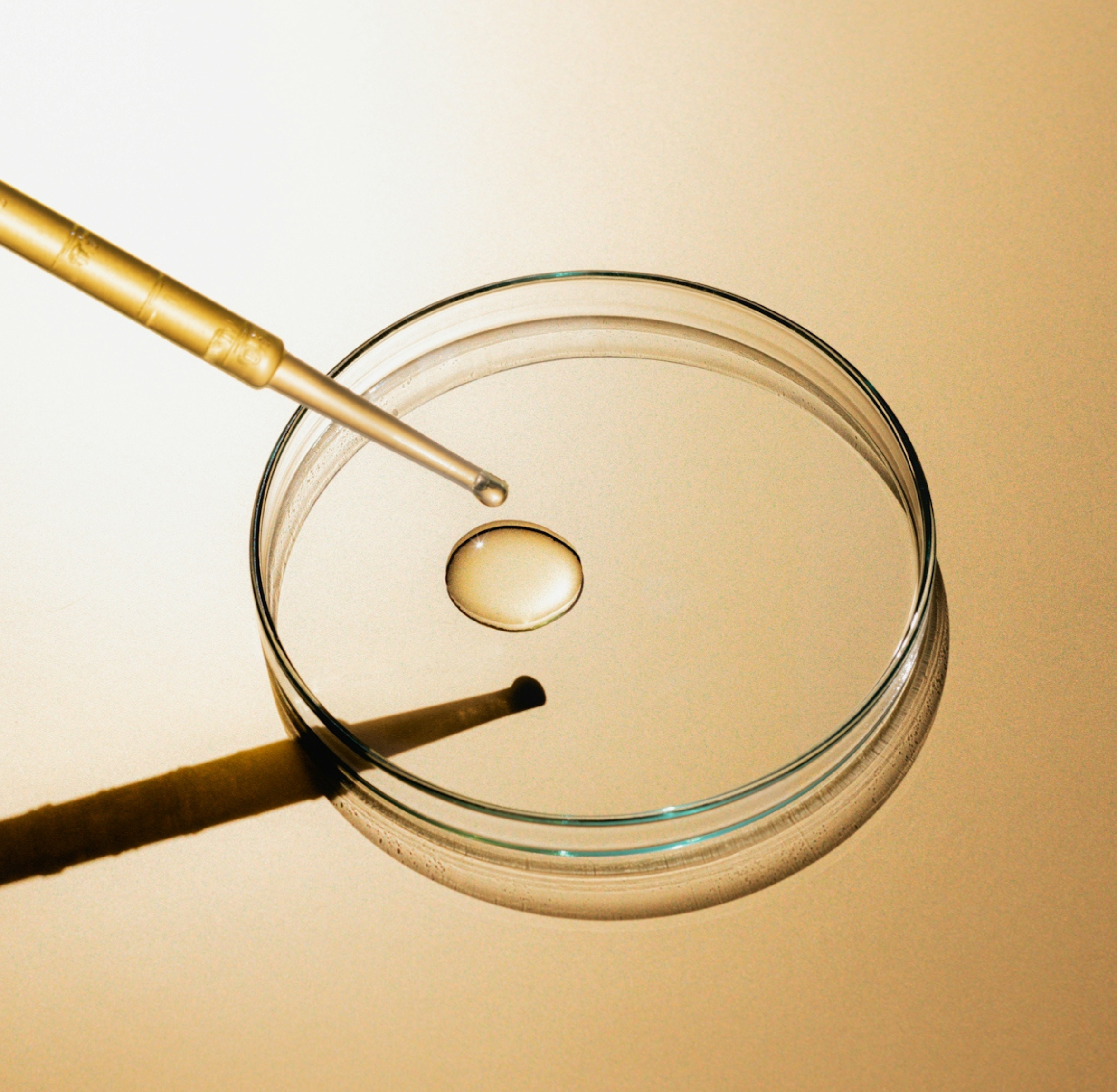 Lab_1_11de2e56-4d9b-41e3-ade3-7ea70d212516.png