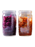 Fermentierte Lebensmittel & Getränke