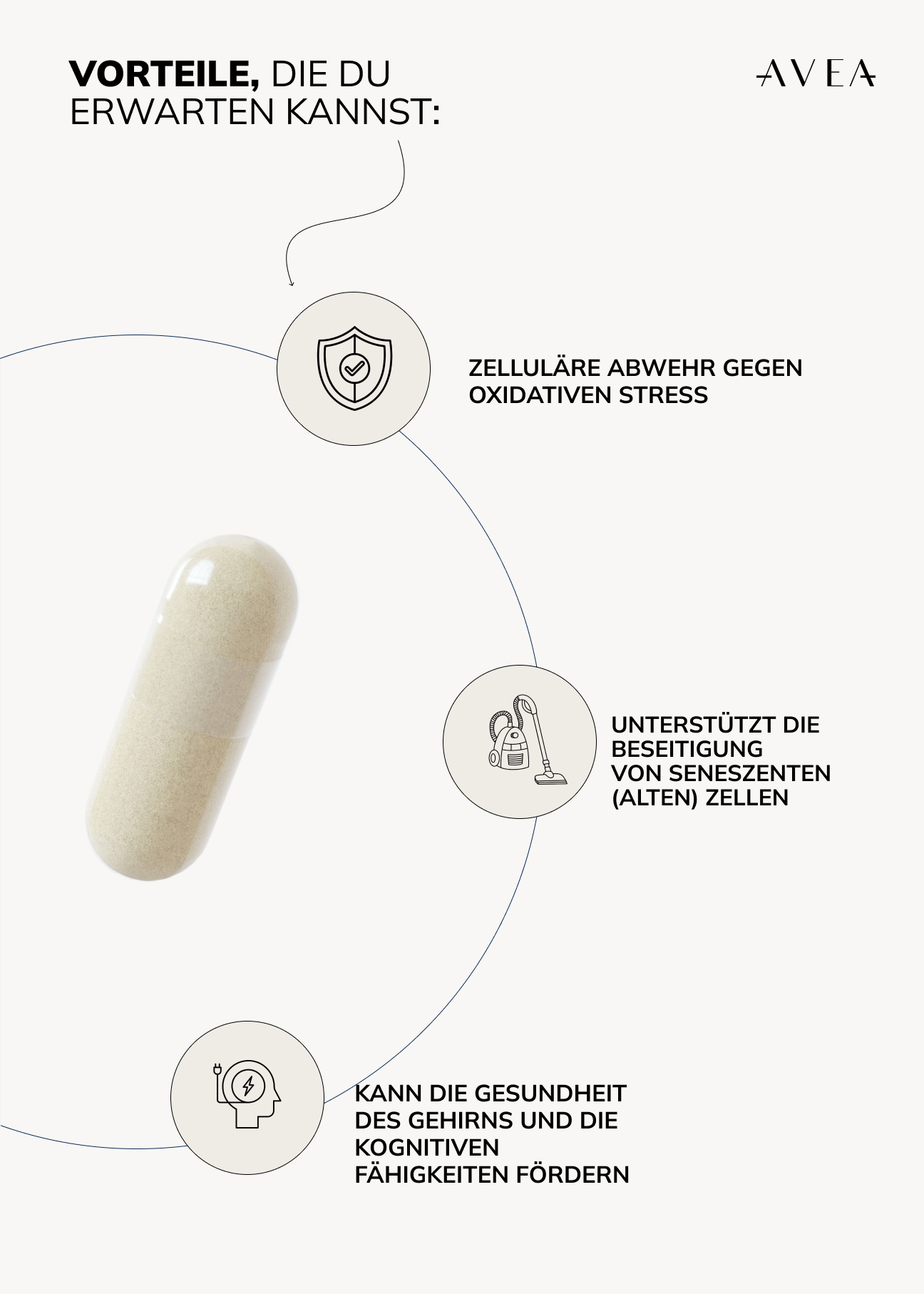 Inflammaging Routine