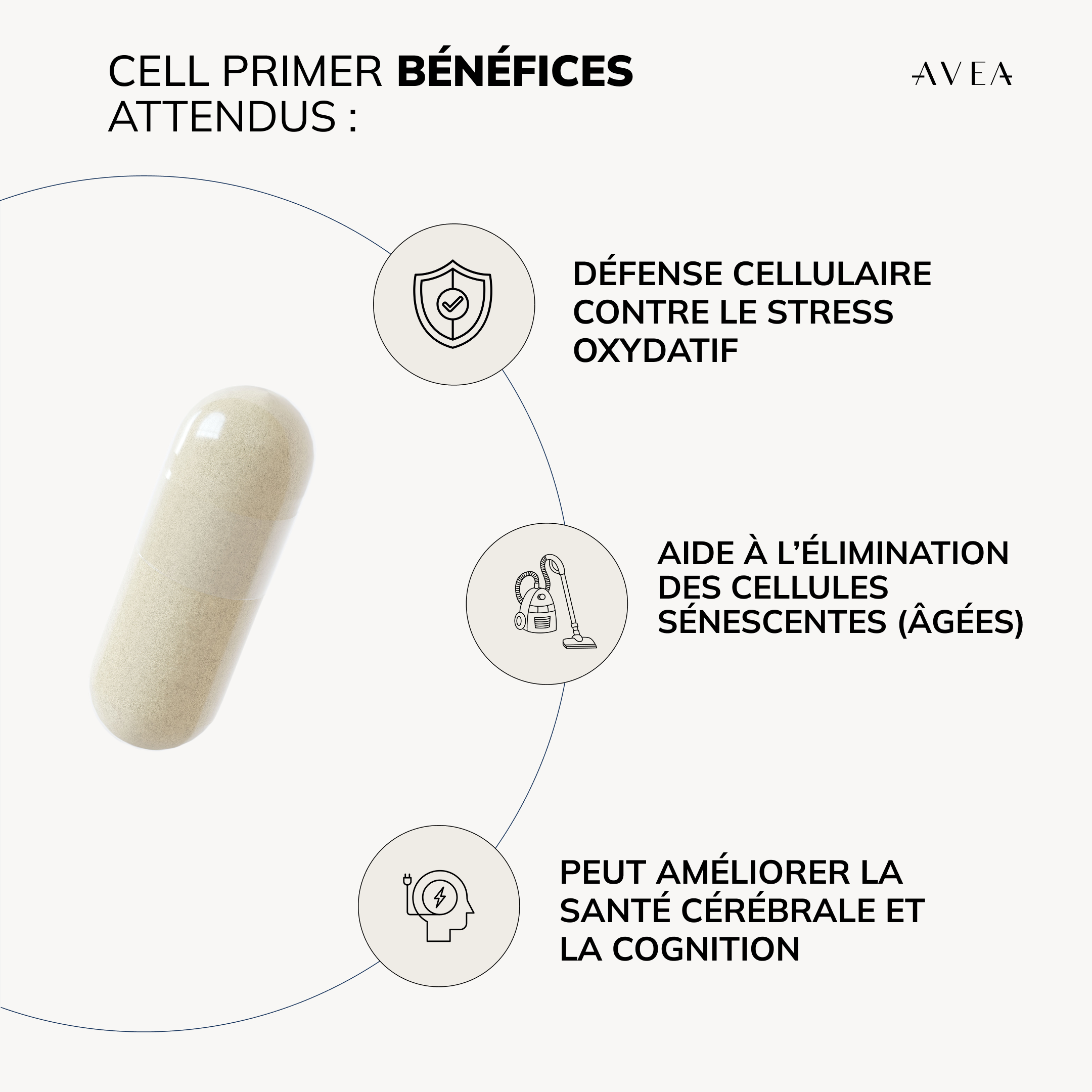 Cell Primer avantages attendus