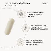 Inflammaging Routine