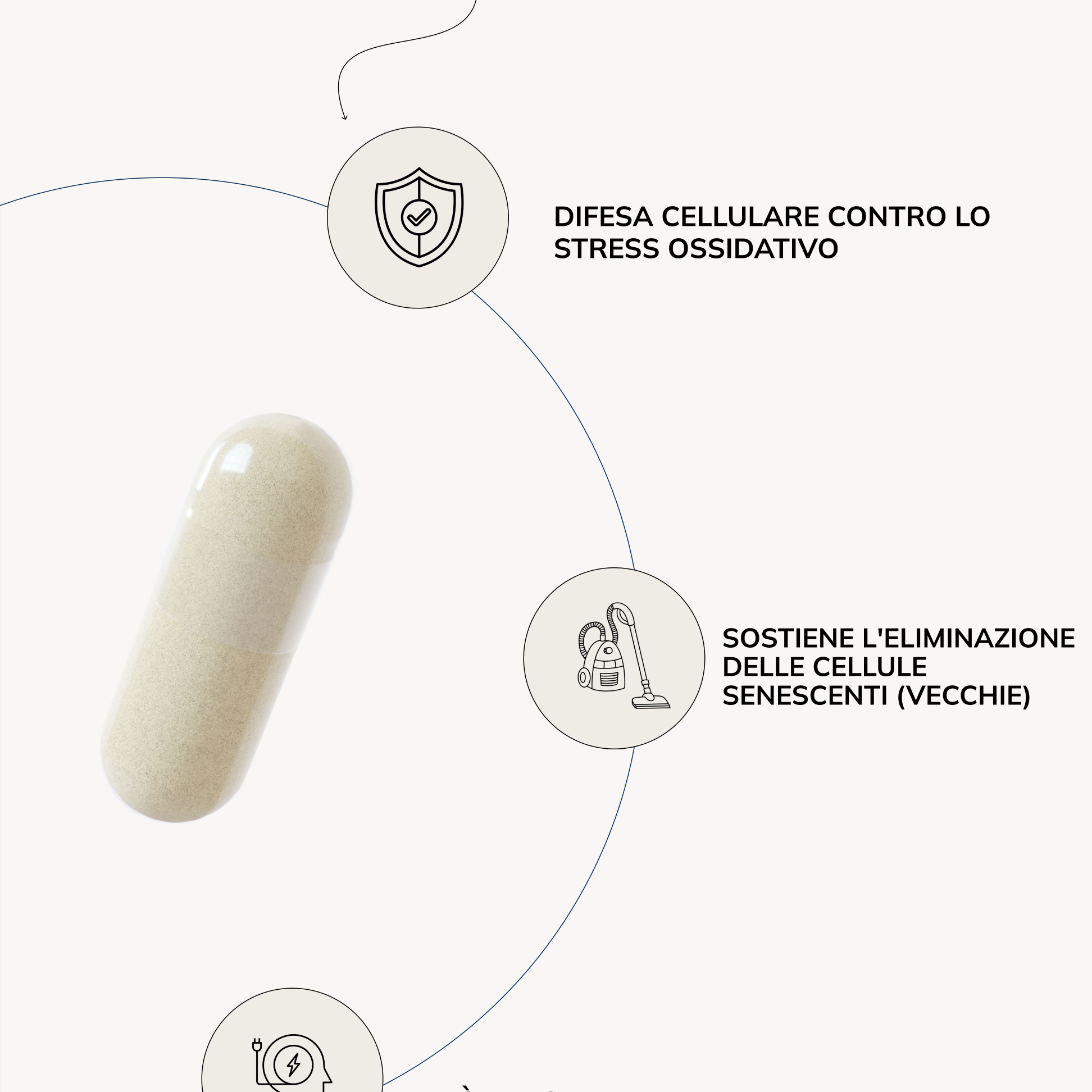Cell Primer benefici attesi