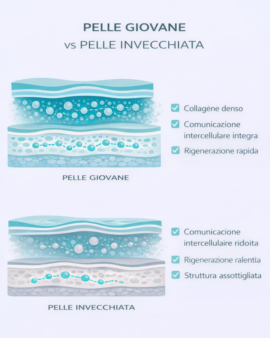 La differenza tra pelle giovane e pelle che invecchia