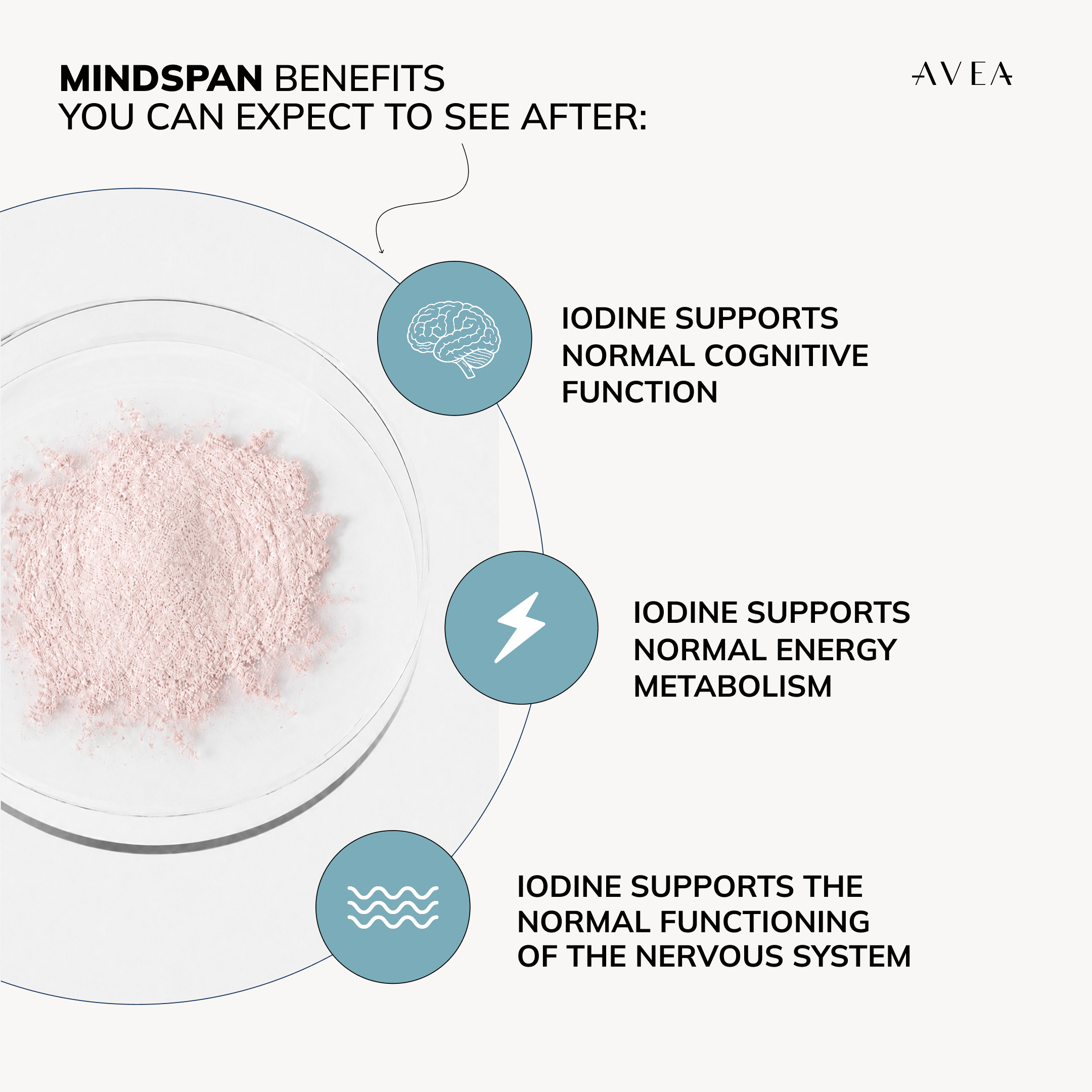 MindSpan_Benefits_LANG_EN.png
