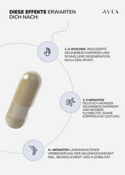 Mobility Routine