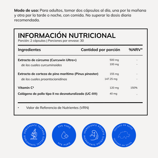 Mobility Routine