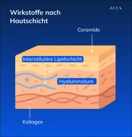 wirkstoffe nach hautschicht
