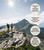 Longevity Bundle A